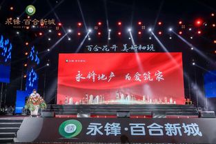 永鋒 百合新城產(chǎn)品發(fā)布會(huì)暨龐龍演唱會(huì)成功舉辦,啟幕武城